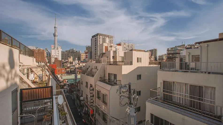 Asakusa Maple