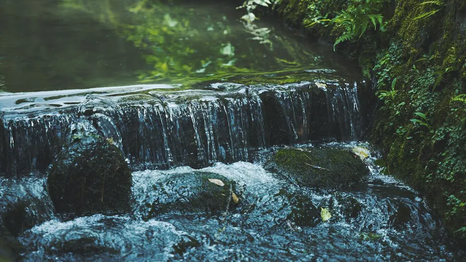 SOKI KANAZAWA