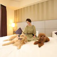 お部屋での過ごし方(イメージ)