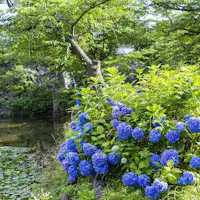 【周辺観光/舞鶴公園(夏)】