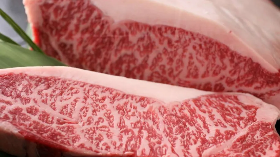 Izumo Kamigami Enmusubi no Yado Konya