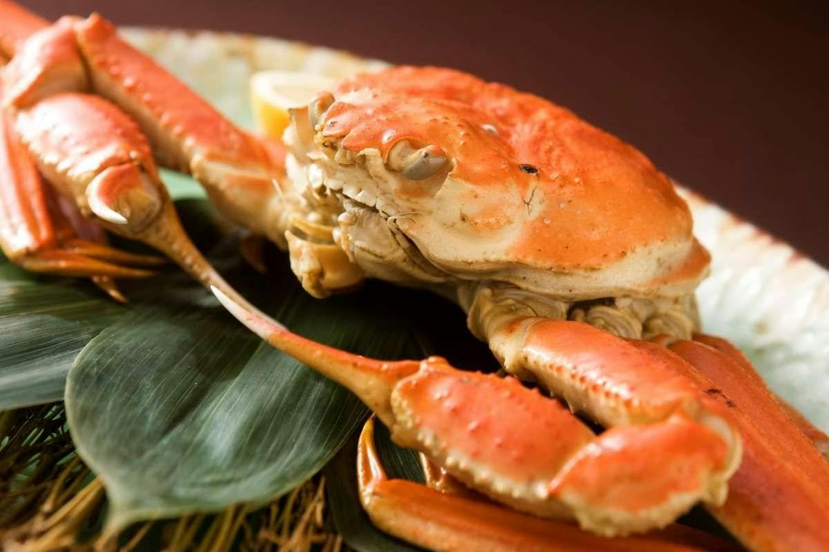 Izumo Kamigami Enmusubi no Yado Konya