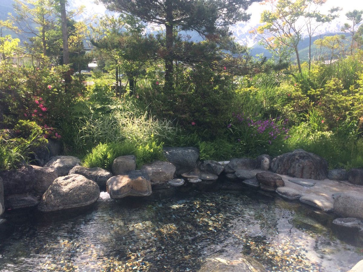 白馬ロイヤルホテル 朝食付き 当日22時まで予約可能 夜は自由に朝はしっかりと食べたい人にオススメ 1泊朝食付きプラン 禁煙 和洋室 Yahoo トラベル