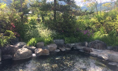 白馬ロイヤルホテル 朝食付き 当日22時まで予約可能 夜は自由に朝はしっかりと食べたい人にオススメ 1泊朝食付きプラン 禁煙 和洋室 Yahoo トラベル 白馬ロイヤルホテル 朝食付き 当日22時まで予約可能 夜は自由に朝はしっかりと食べたい人にオススメ 1泊朝食付きプラン 禁煙 和洋室 Yahoo トラベル