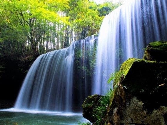 บริเวณโดยรอบ