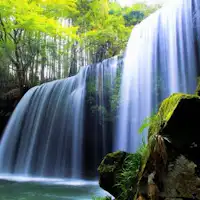 บริเวณโดยรอบ