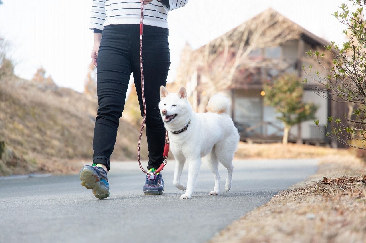 สิ่งอำนวยความสะดวกเหมาะสำหรับการเดินเล่น