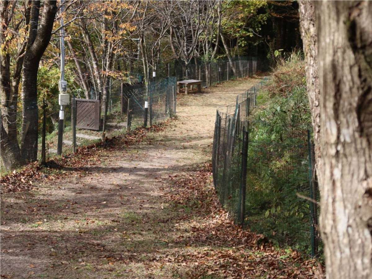 Hanare no Yado Hanagokoro