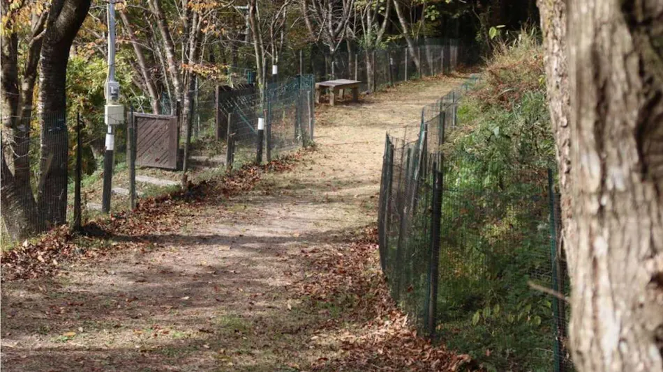 Hanare no Yado Hanagokoro