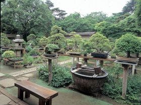 パイオランドホテル