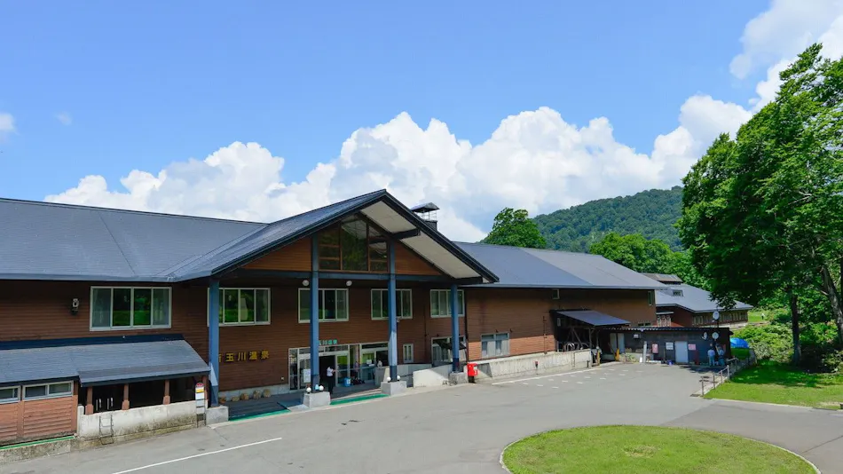 Shin-Tamagawa Onsen