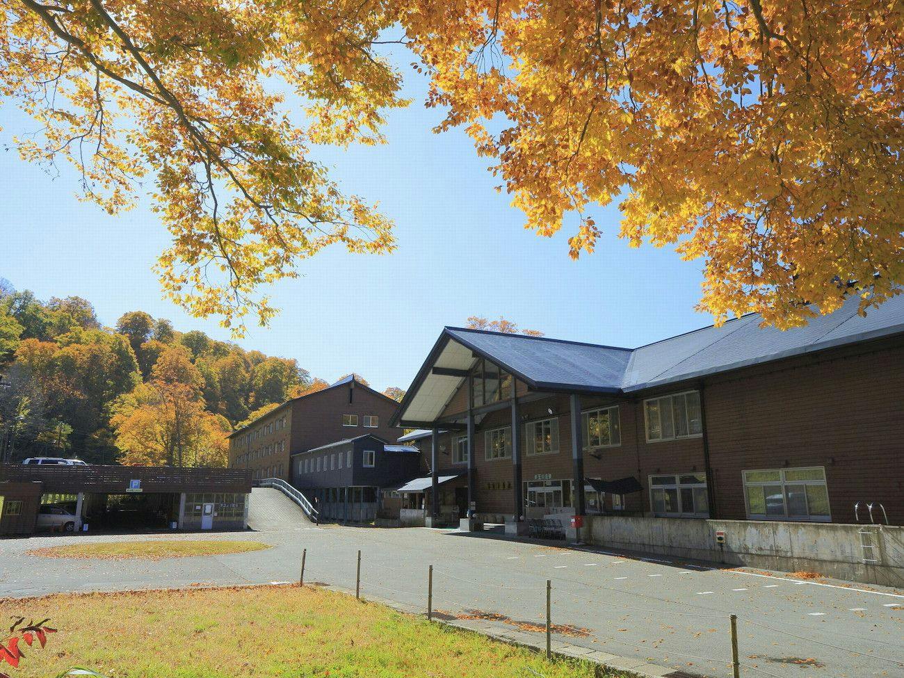 Shin-Tamagawa Onsen