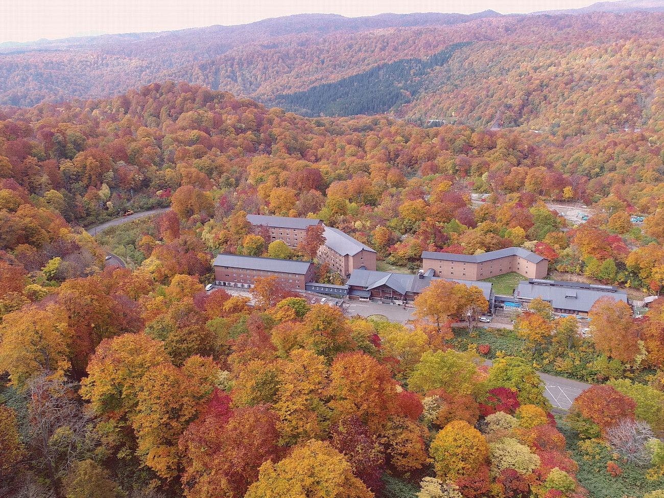 단풍 시즌 신타마가와 온천 드론 촬영 이미지.
