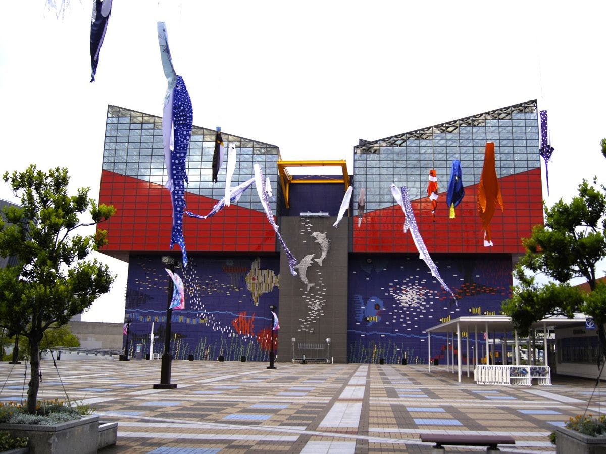 【海遊館】ประมาณ 35 นาทีโดยรถไฟใต้ดินจากโรงแรม