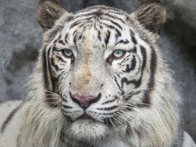 休暇村讃岐五色台