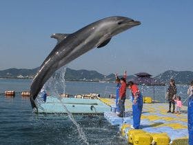 休暇村讃岐五色台