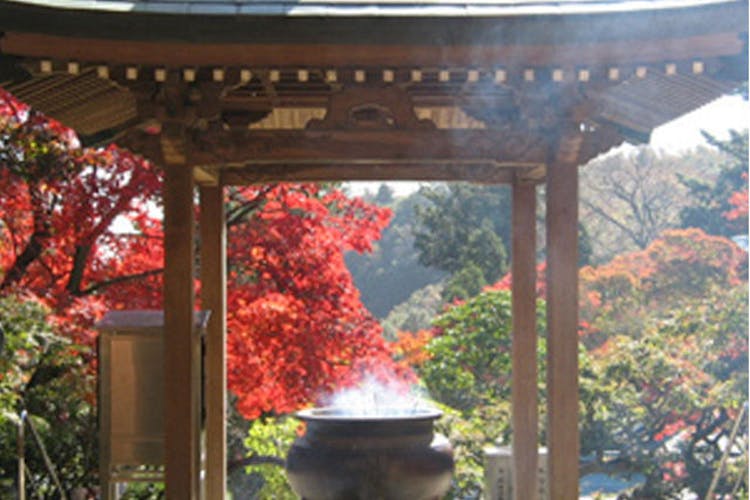 休暇村 讃岐五色台 宿泊予約なら Yahoo トラベル 休暇村 讃岐五色台 宿泊予約なら Yahoo トラベル