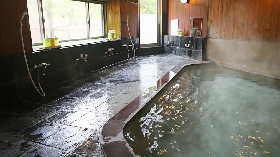 Inoda Onsen Kinu no Yu Kueya Ryokan