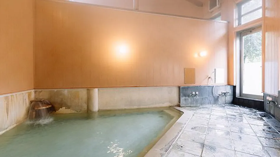 Inoda Onsen Kinu no Yu Kueya Ryokan