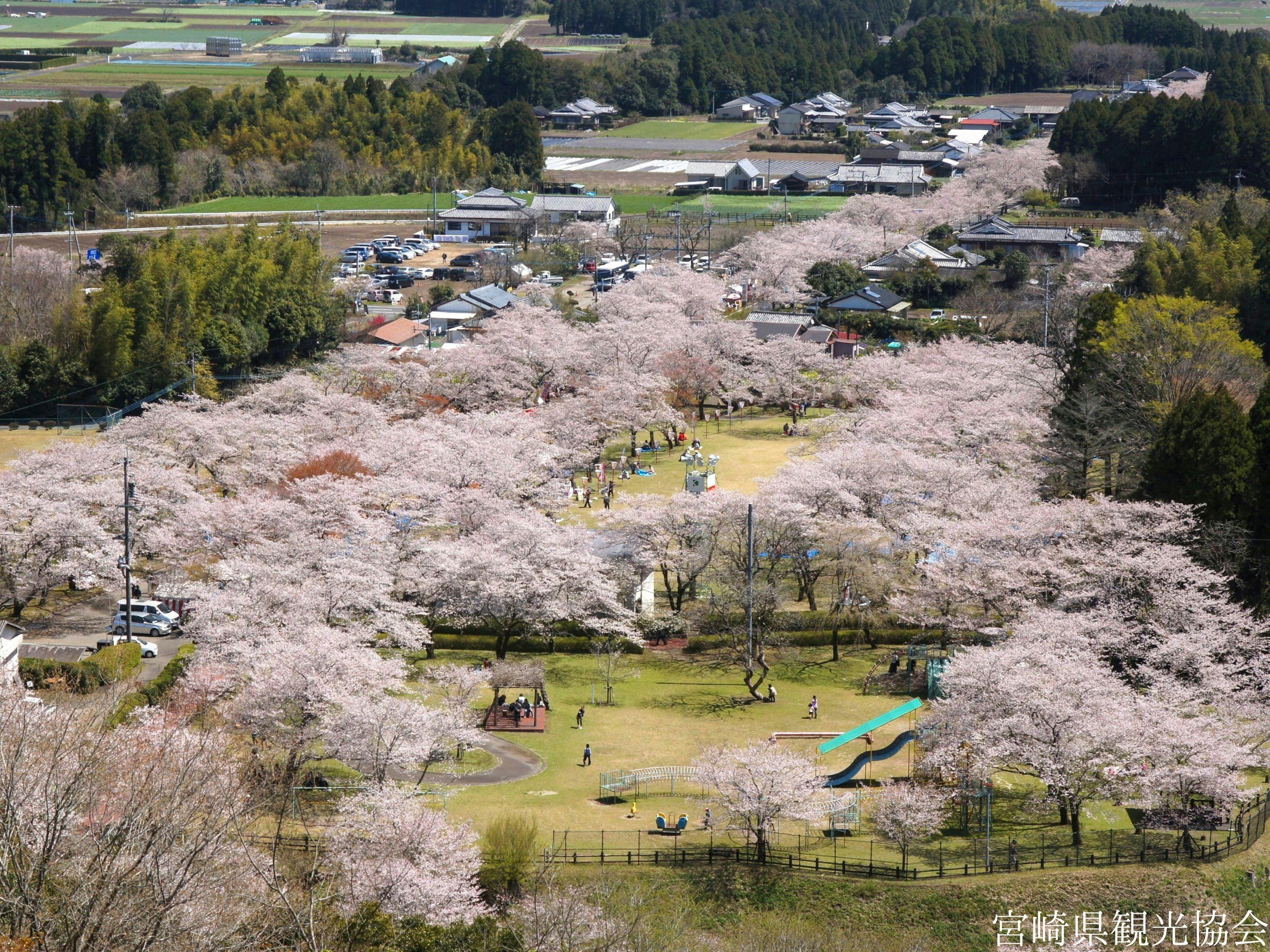 สวนสาธารณะโมจิโอะ