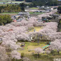 สวนสาธารณะโมจิโอะ