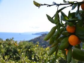 伊東園ホテル熱川