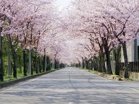 伊東園ホテル熱川