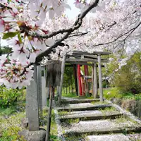 ซากุระที่คุริคาวะ อินาริ