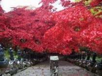 Kuil Daisen semasa musim luruh