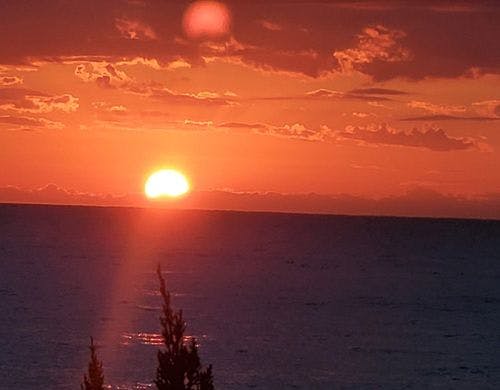 1階客室からの景色一例。