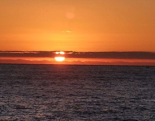 1階客室からの景色一例。