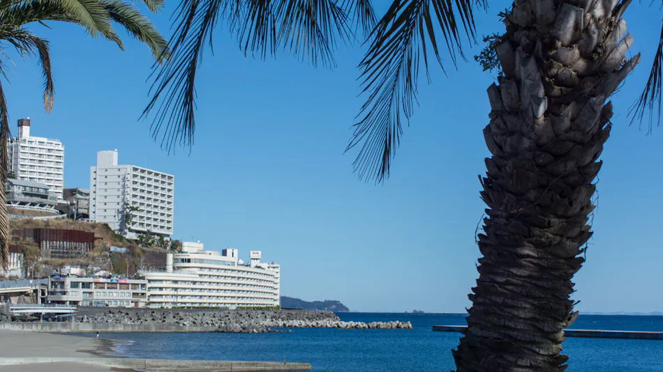 Wisterian Life Club Atami