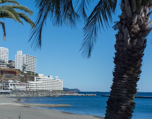 サンビーチより当クラブ外観