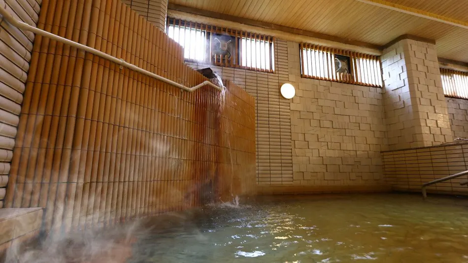 Hotel Yudanaka