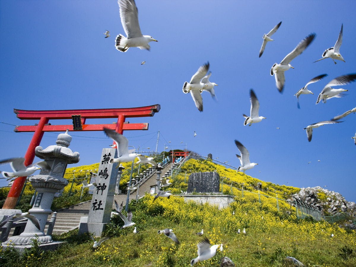 เกาะคาบุชิมะ