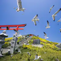 เกาะคาบุชิมะ