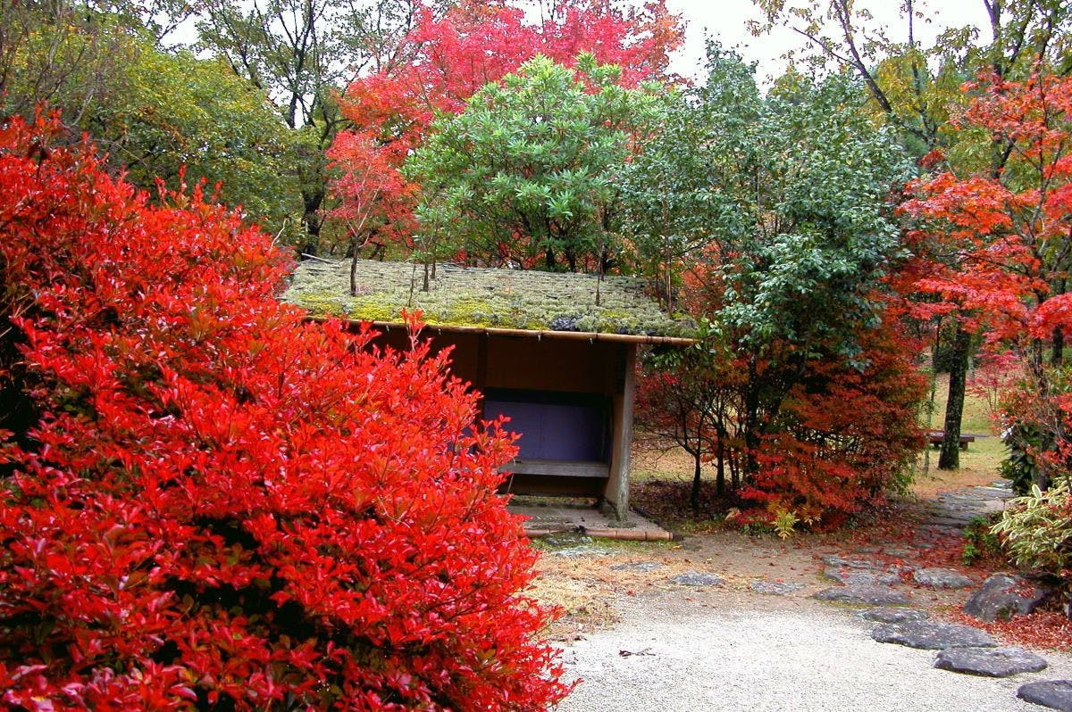 Relaxation Forest Greenpia Yame