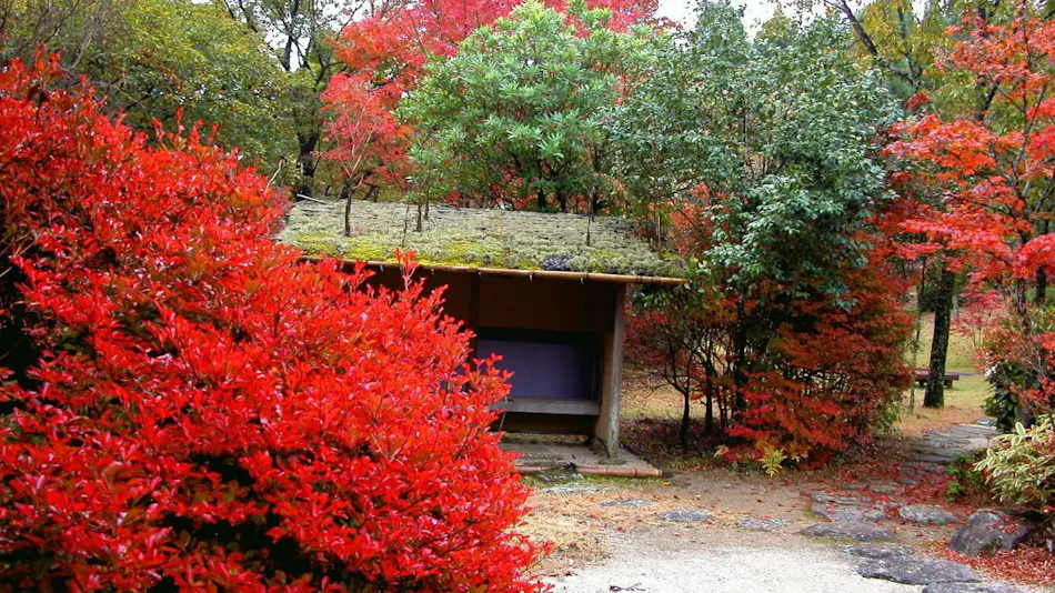 Relaxation Forest Greenpia Yame