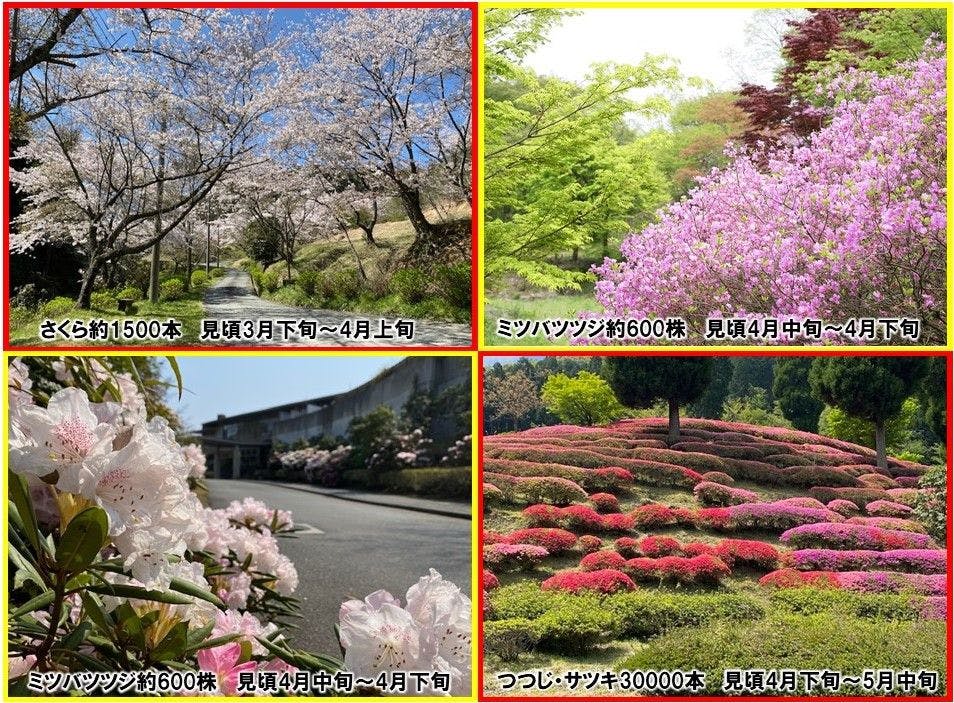 Relaxation Forest Greenpia Yame