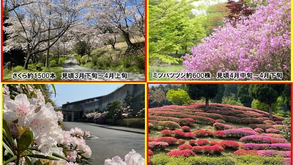 Relaxation Forest Greenpia Yame