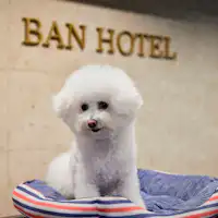 【Kaunter Depan】Anjing maskot Tsukijiro