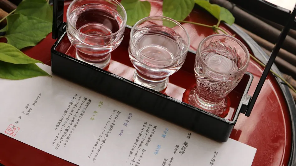 Awara Onsen Shirakawaso