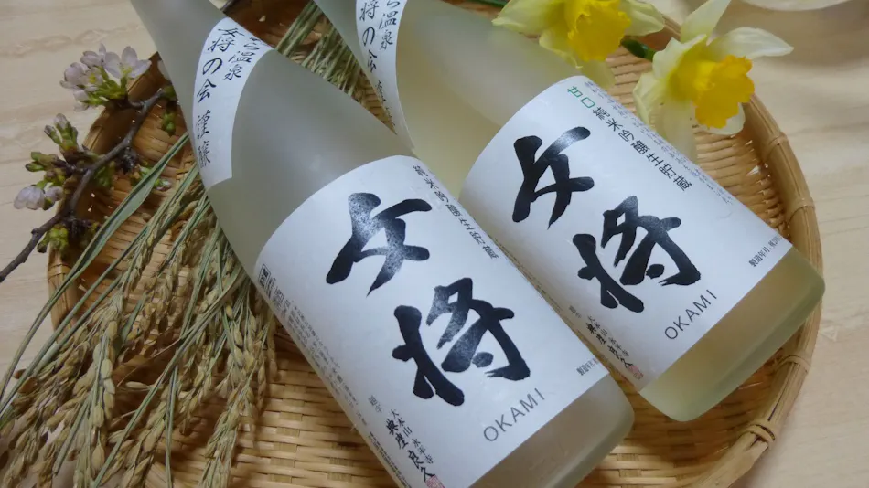 Awara Onsen Shirakawaso