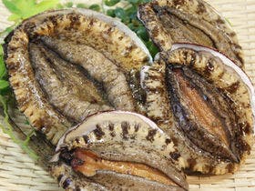 味覚の宿　定洋(ていよう)