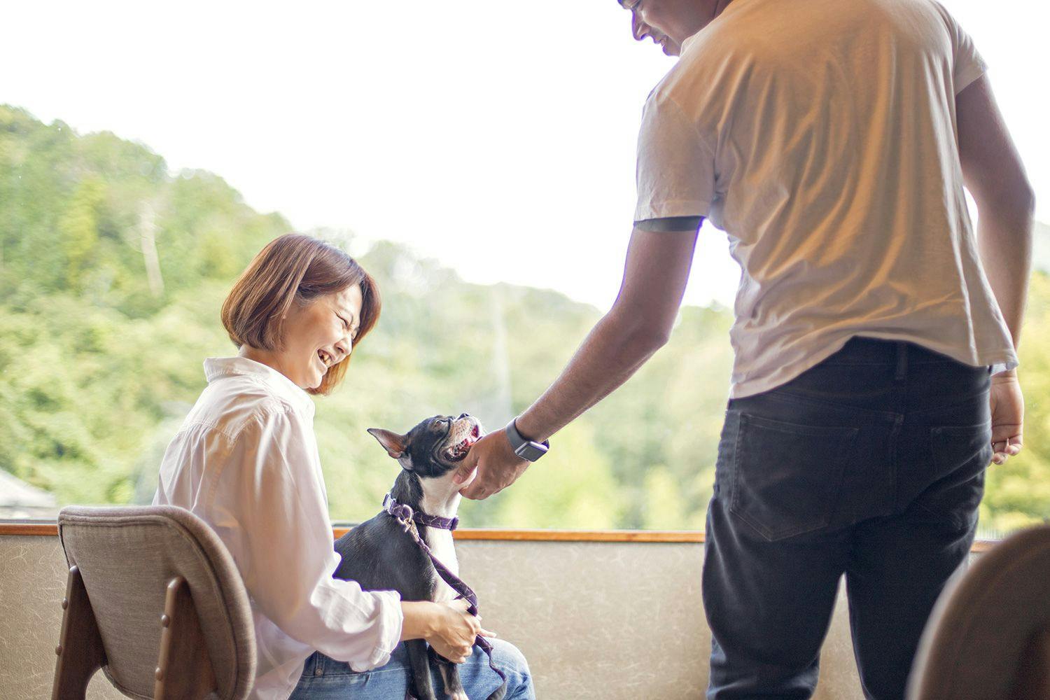 객실에서 함께 편안히 쉬실 수 있습니다.