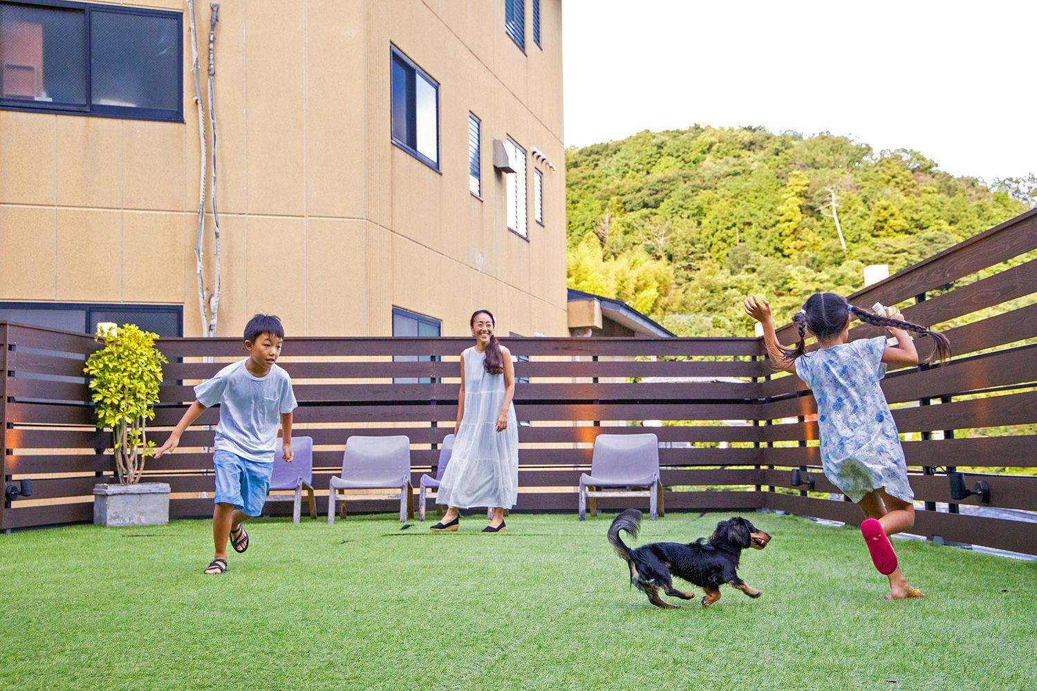 개방적인 도그런.