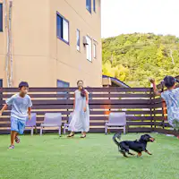 개방적인 도그런.