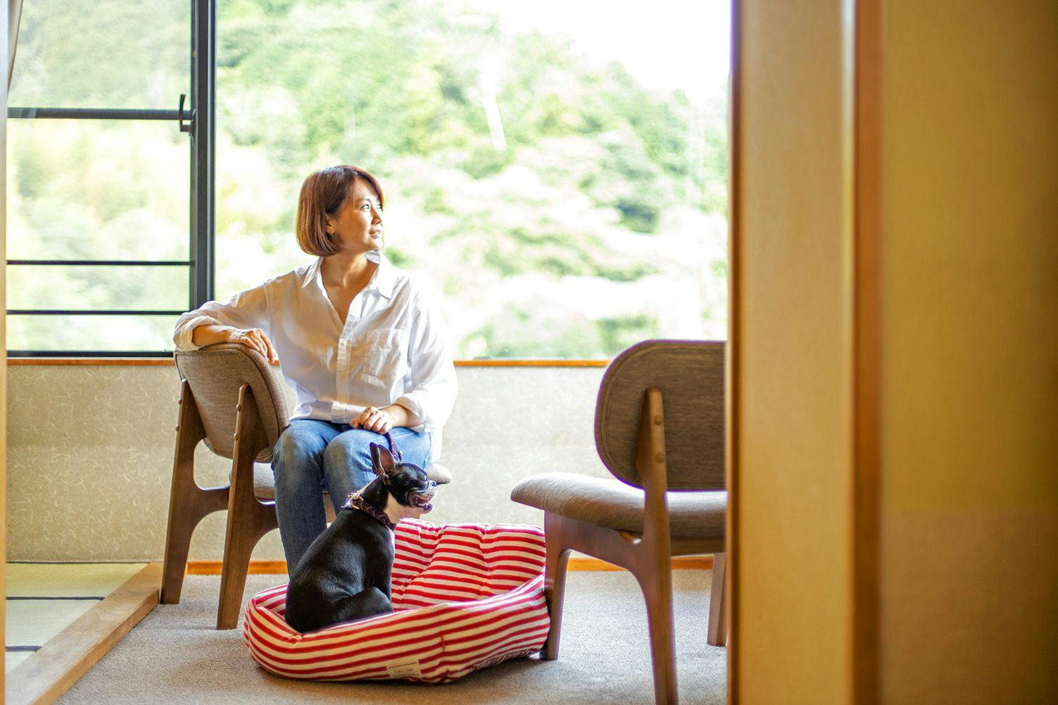 일본식 방 12.5 다다미, 동관, 반려동물 허용