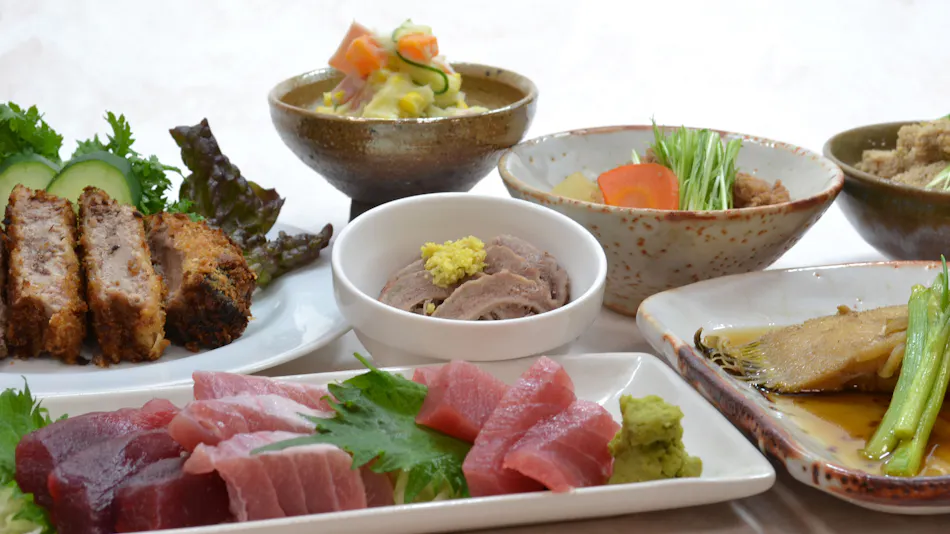 Onsen Minshuku Kosakaya