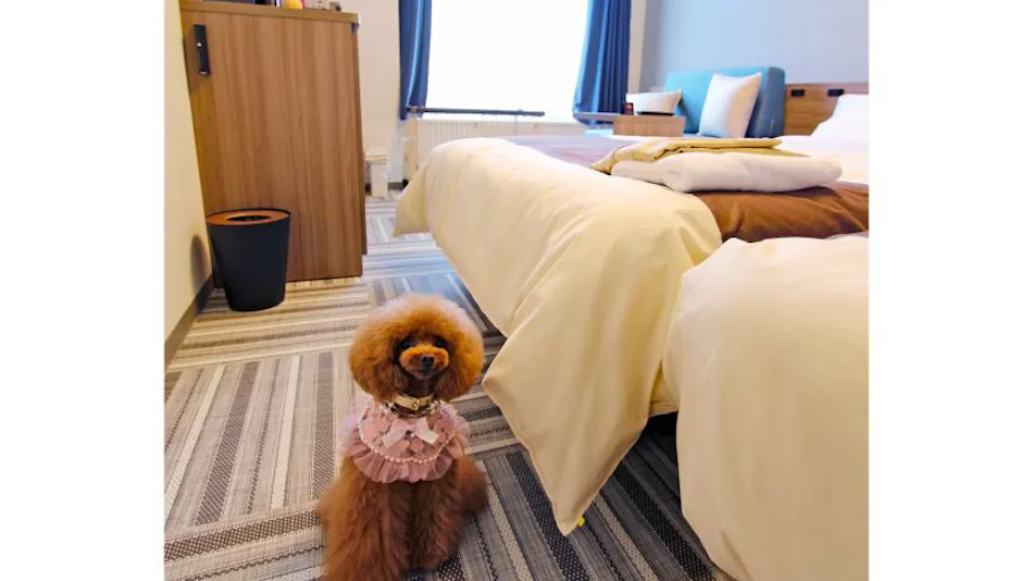 Henn na Hotel Laguna Ten Bosch